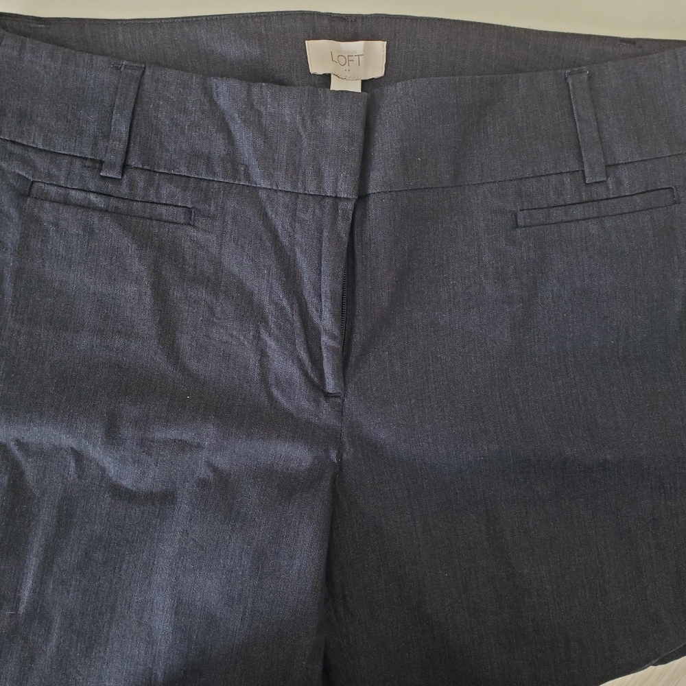 Loft pants